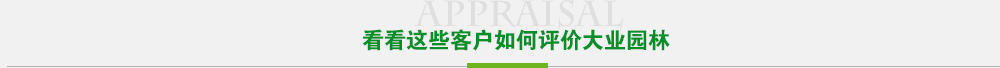 看看這些客戶(hù)如何評價(jià)大業(yè)園林