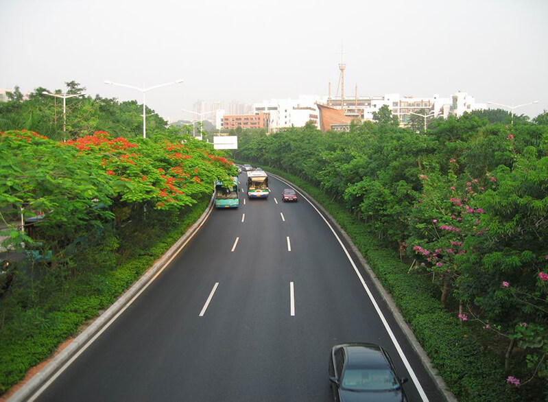 寶安區道路綠化施工